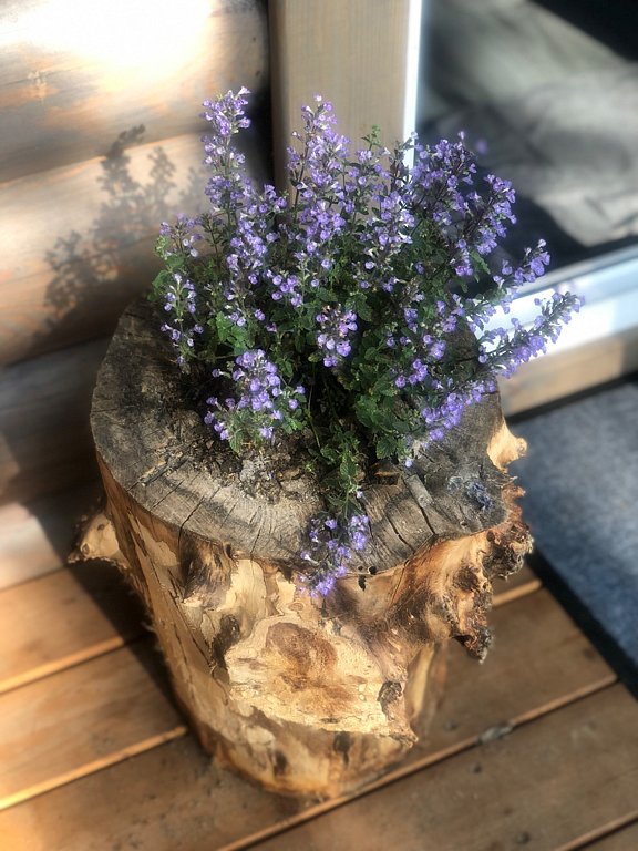 Фото из отзыва от 22.07.2025