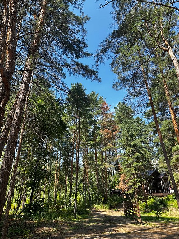 Фото из отзыва от 22.07.2025