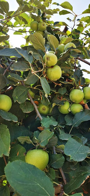 Фото из отзыва от 25.07.2025