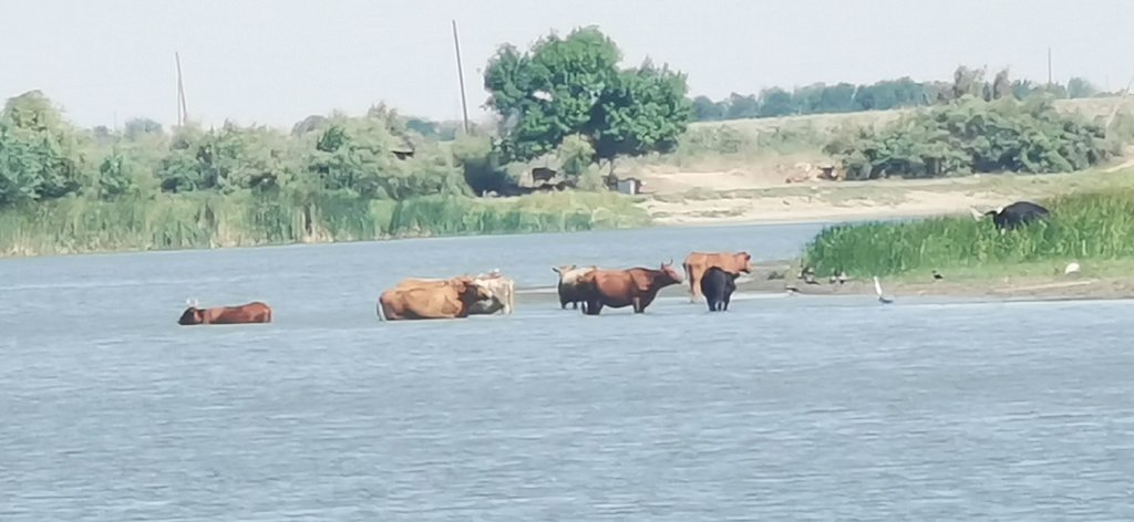 Фото из отзыва от 25.07.2025