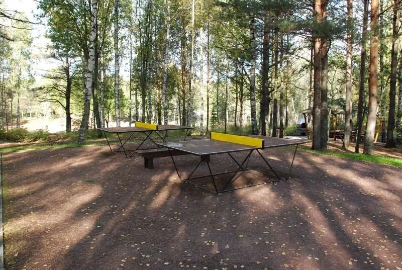 Настольный теннис | Балтика, Ленинградская область