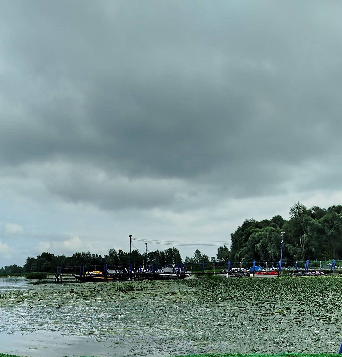 Фото 1 из отзыва о базе отдыха Фокино-Приволжье