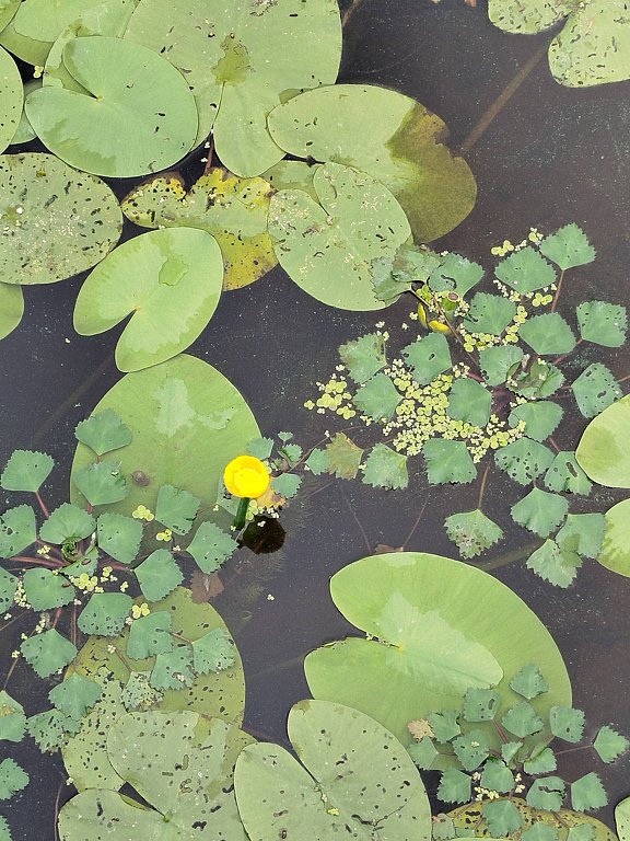 Фото из отзыва от 21.07.2025