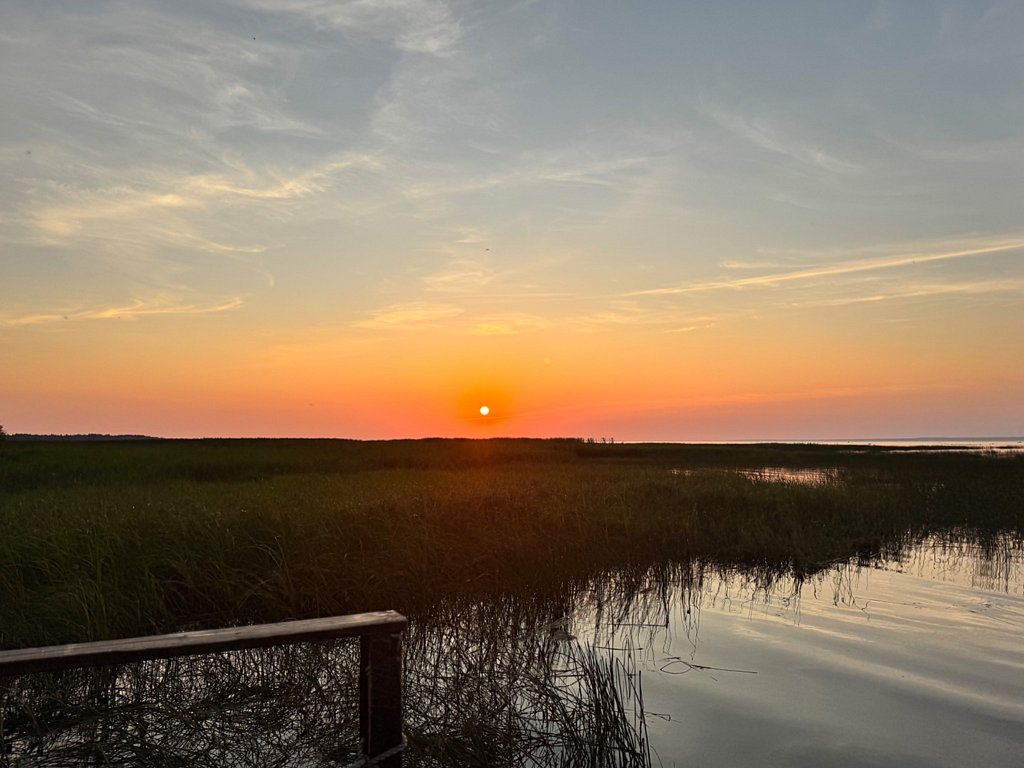 Фото из отзыва от 24.07.2025