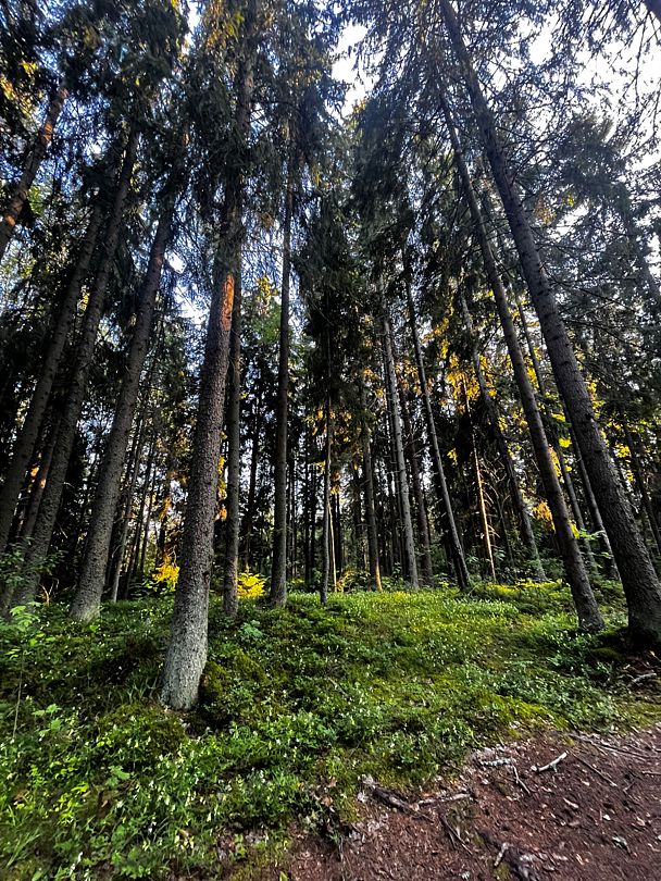 Фото 2 из отзыва о базе отдыха Янтарный берег