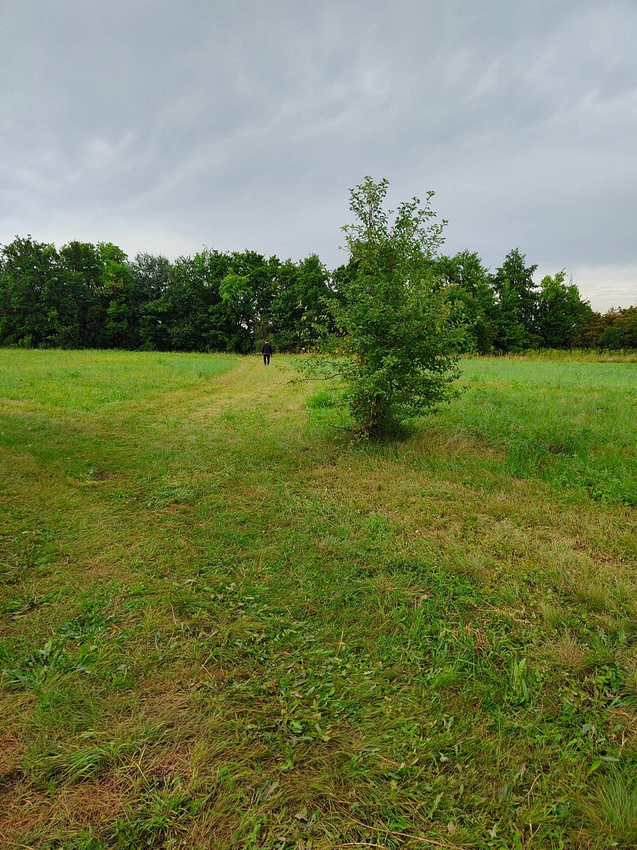 Фото 2 из отзыва о доме в аренду Волшебница