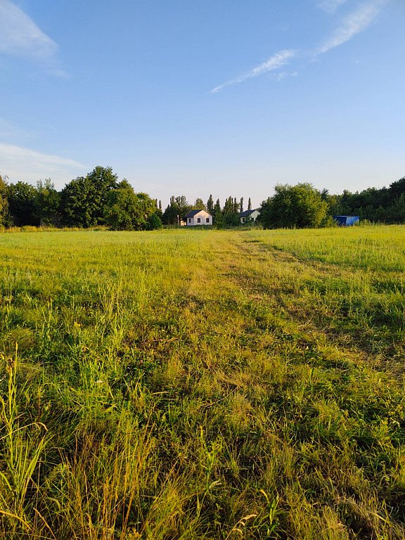 Фото из отзыва от 14.07.2025