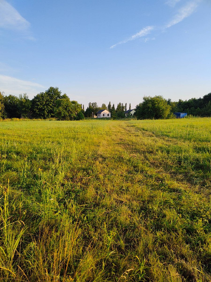 Фото 1 из отзыва о доме в аренду Волшебница