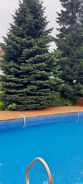 Фото из отзыва от 28.07.2025