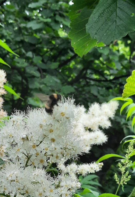 Фото из отзыва от 28.07.2025