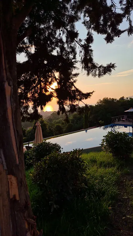 7 кипарисов, Гагрский район: фото 5