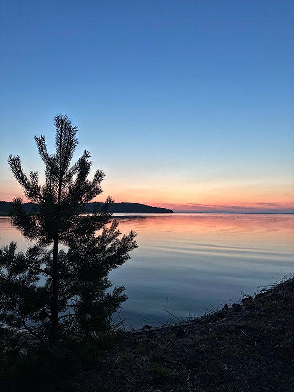 Фото из отзыва от 29.07.2025