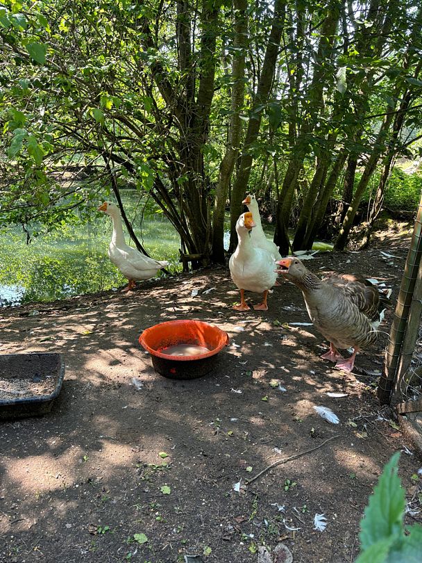 Фото 3 из отзыва о коттеджном комплексе Светозар