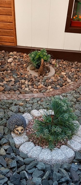 Фото из отзыва от 27.07.2025