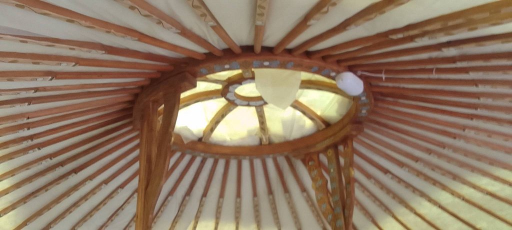 Фото из отзыва от 31.07.2025