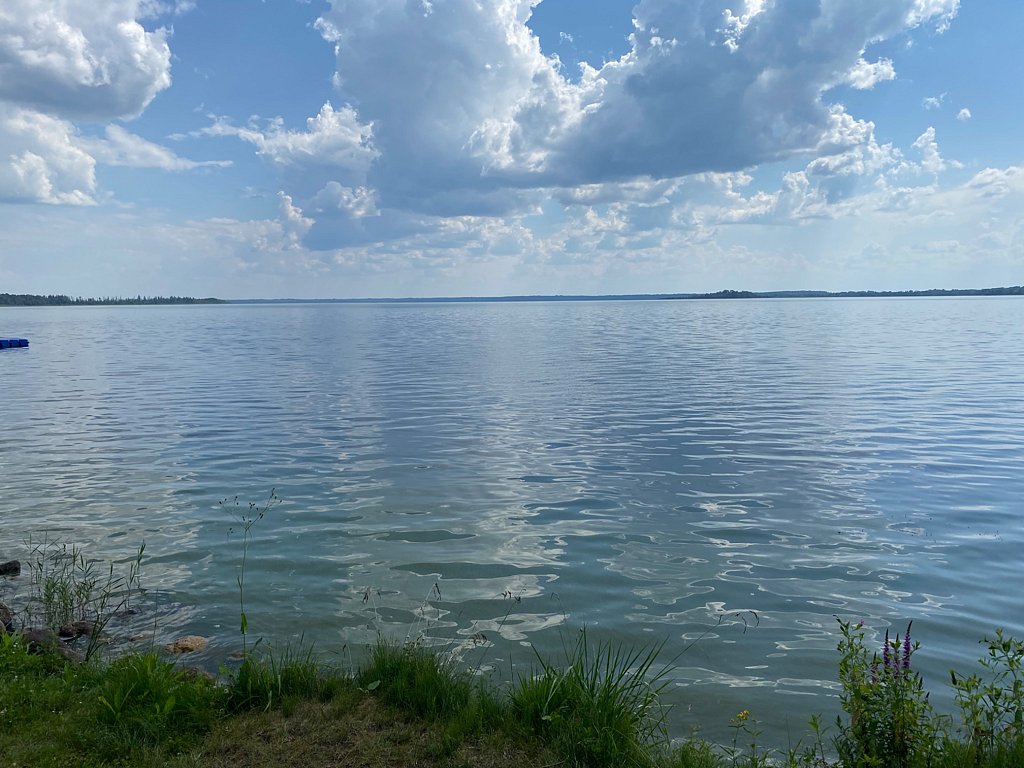 Фото из отзыва от 25.07.2025