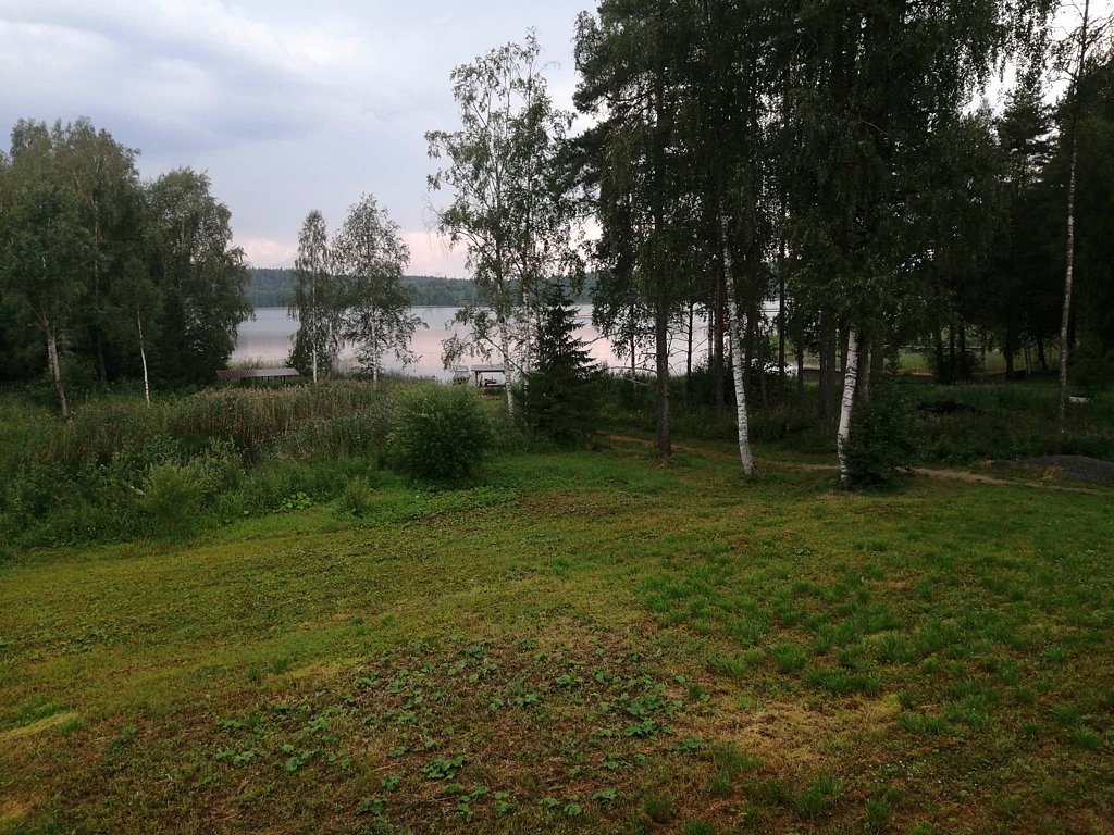 Фото из отзыва от 28.07.2025