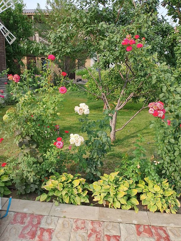 Фото 1 из отзыва о гостевом доме Атмосфера