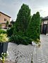 Фото 4 из отзыва о загородном клубе Атмосфера