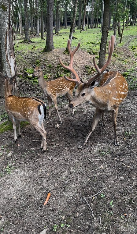 Фото из отзыва от 02.08.2025