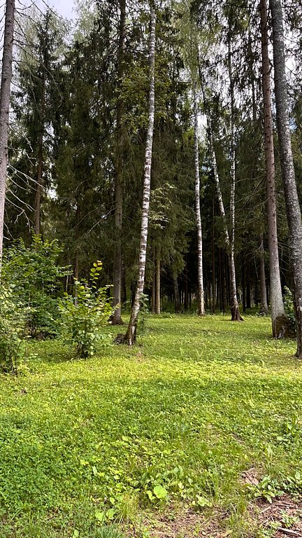 Фото из отзыва от 02.08.2025