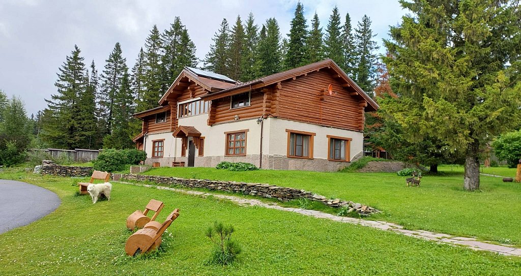 Фото из отзыва от 29.07.2025