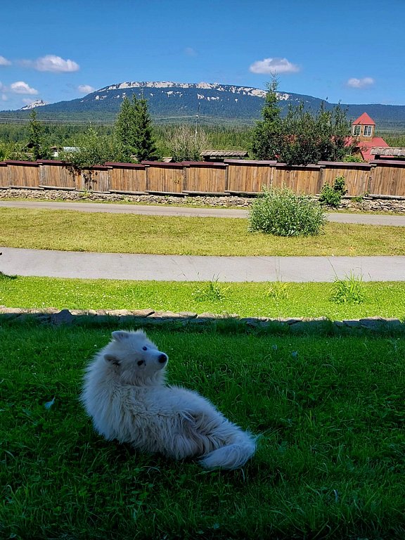 Фото из отзыва от 29.07.2025