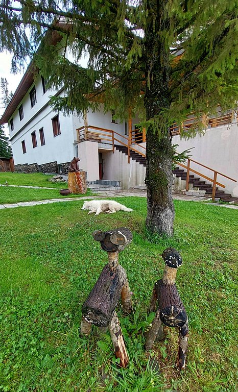 Фото из отзыва от 29.07.2025