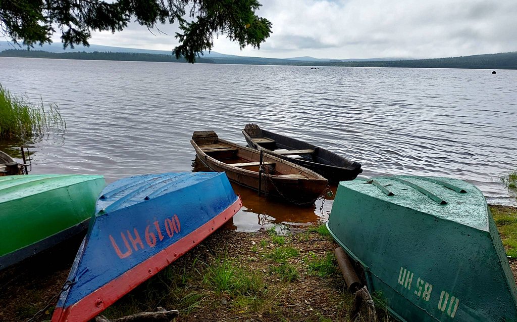 Фото из отзыва от 29.07.2025