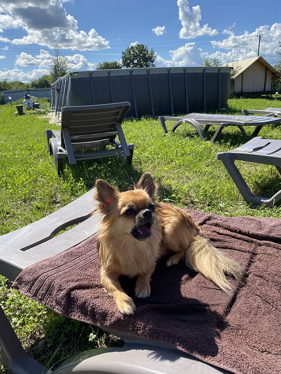 Фото из отзыва от 02.08.2025