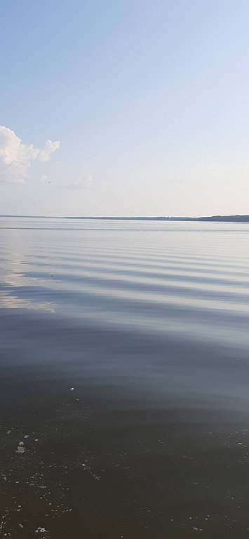 Фото из отзыва от 27.07.2025