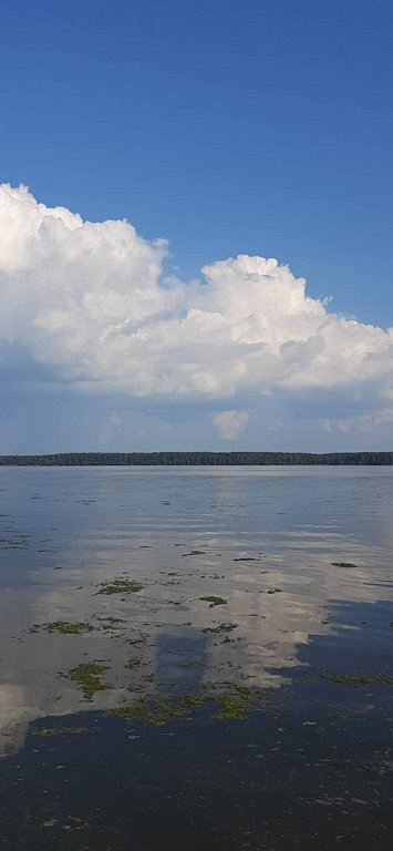 Фото из отзыва от 27.07.2025