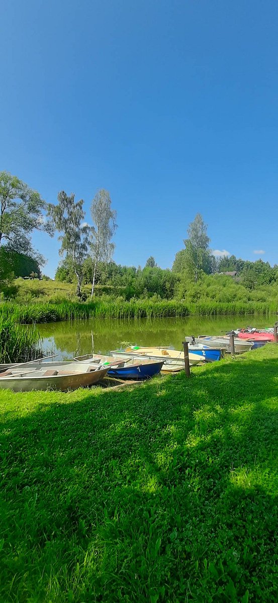 Фото 2 из отзыва о базе отдыха Бриз