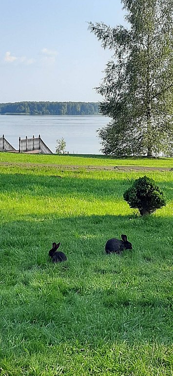 Фото из отзыва от 27.07.2025