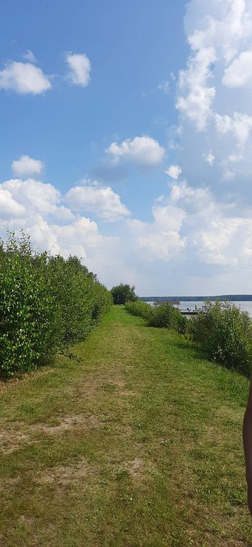 Фото из отзыва от 27.07.2025