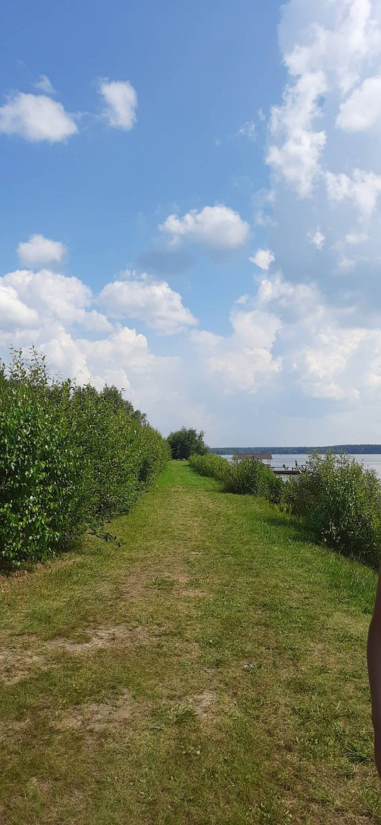 Фото 16 из отзыва о базе отдыха Бриз