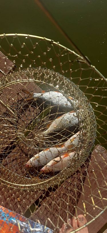 Фото 17 из отзыва о базе отдыха Бриз