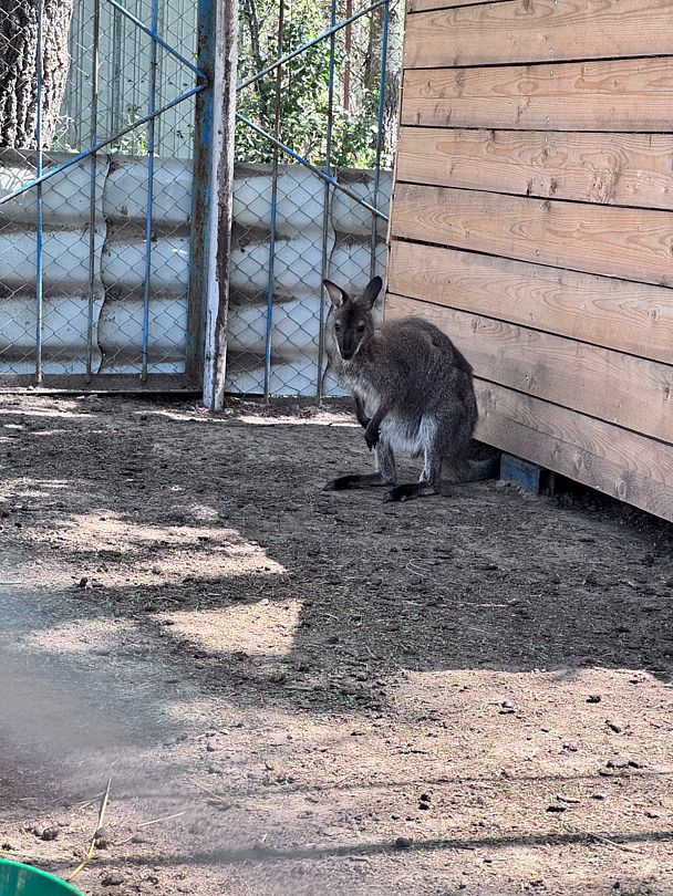 Фото 7 из отзыва о базе отдыха Донская Миля