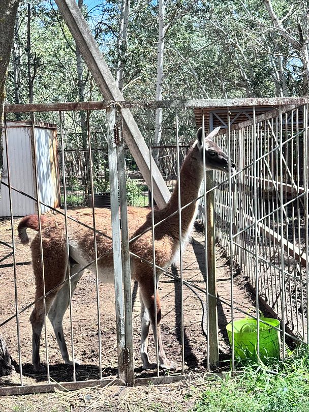 Фото 2 из отзыва о базе отдыха Донская Миля