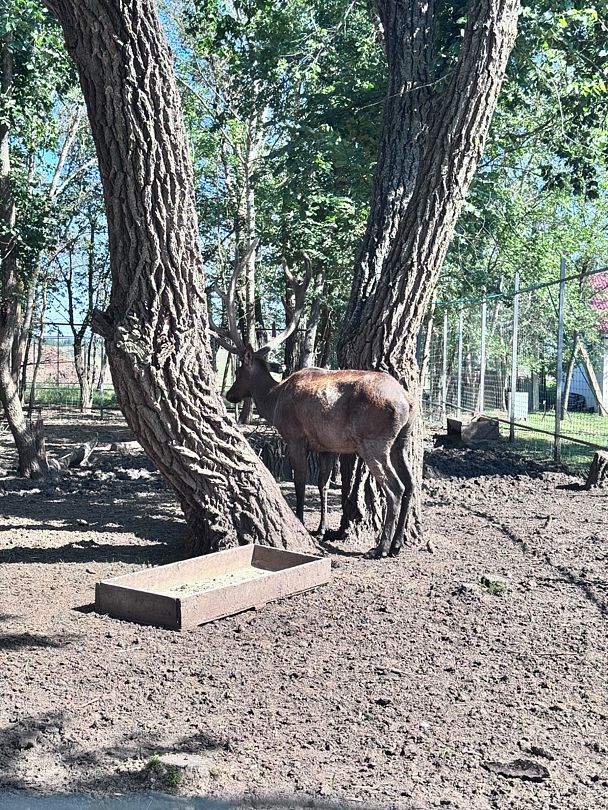 Фото 11 из отзыва о базе отдыха Донская Миля