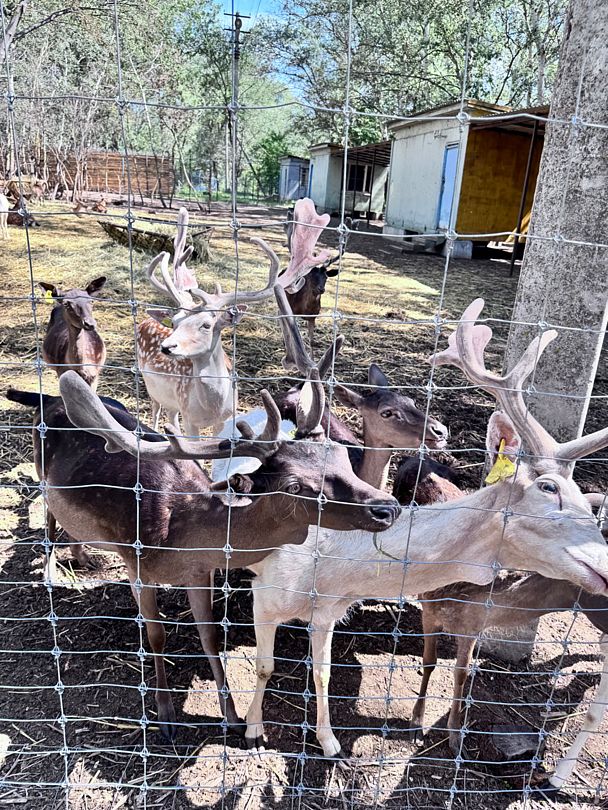 Фото 4 из отзыва о базе отдыха Донская Миля