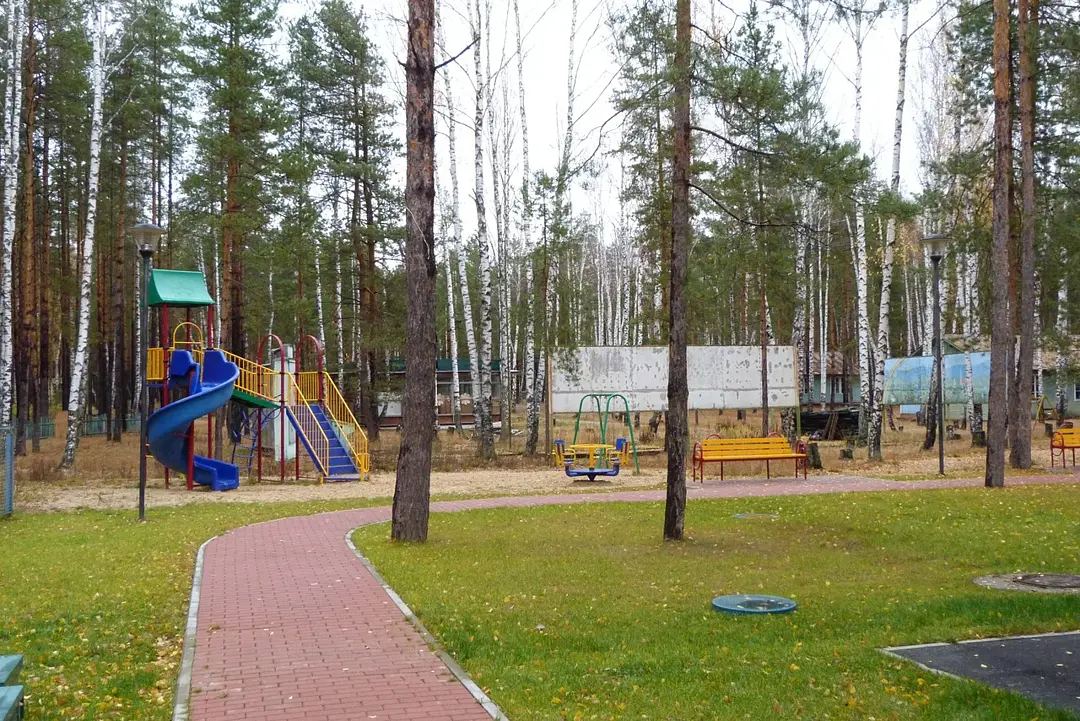 Комета, Рязанская область: фото 5