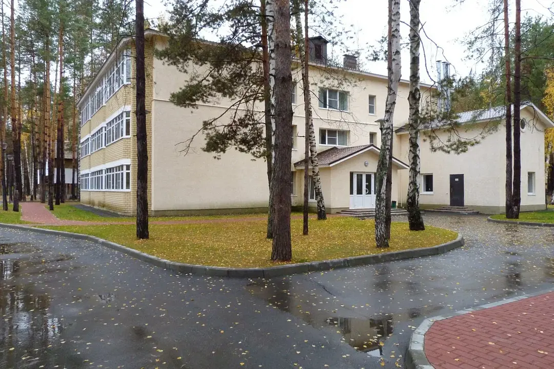 Комета, Рязанская область: фото 4