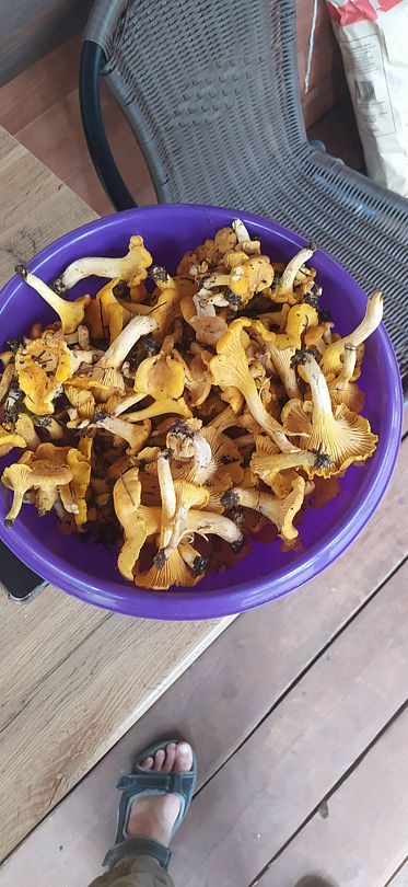 Фото 1 из отзыва о базе отдыха Коломно