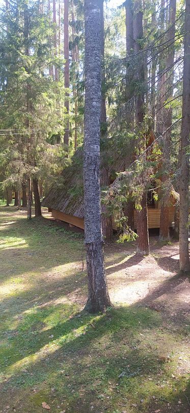 Фото 5 из отзыва о базе отдыха Коломно