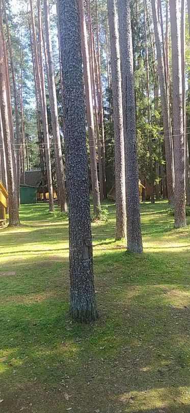 Фото 6 из отзыва о базе отдыха Коломно