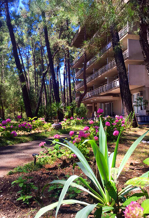 Пансионат Лдзаа Госдача, Пицунда, Гагрский район