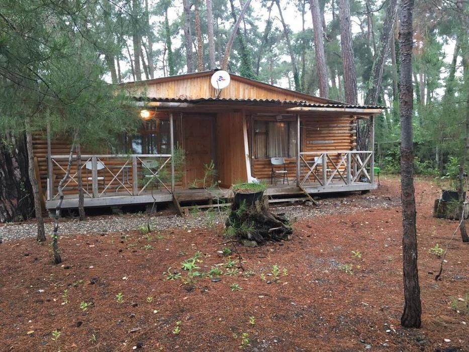 Лдзаа Госдача, Гагрский район: фото 4