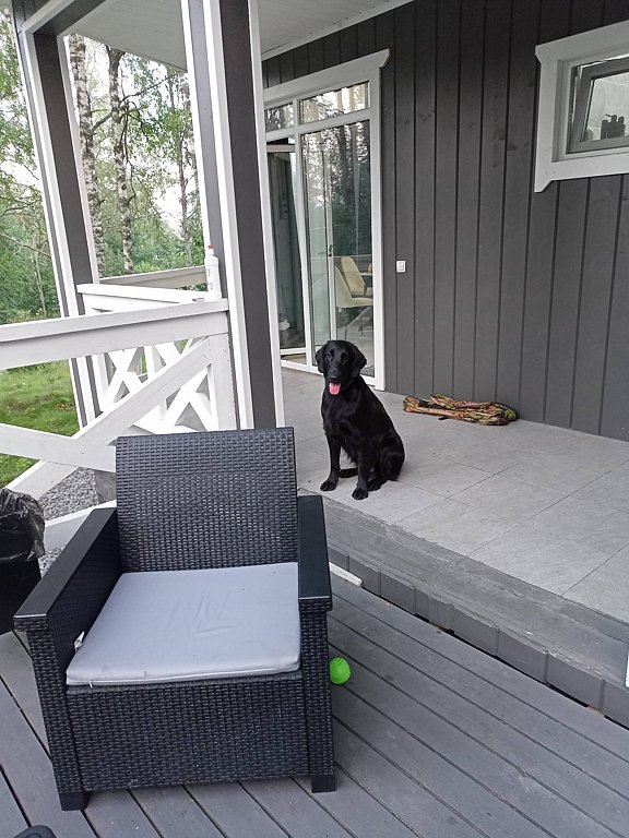 Фото из отзыва от 24.07.2025