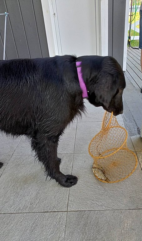 Фото из отзыва от 24.07.2025